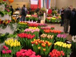 [Show de Goorn 2006_0205Image0036.JPG]